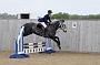 NRS_0641