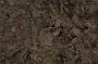 NRS_0644