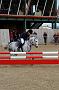 NRS_0661