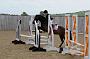 NRS_0668