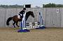 NRS_0686