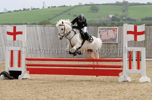 NRS_0801.JPG - (C)S.FARNDON