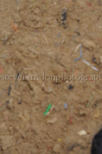 NRS_0846.JPG - (C)S.FARNDON