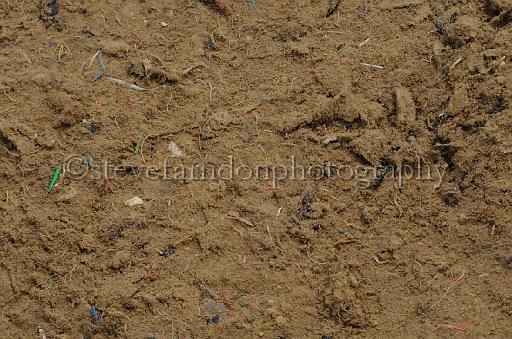 NRS_0897.JPG - (C)S.FARNDON