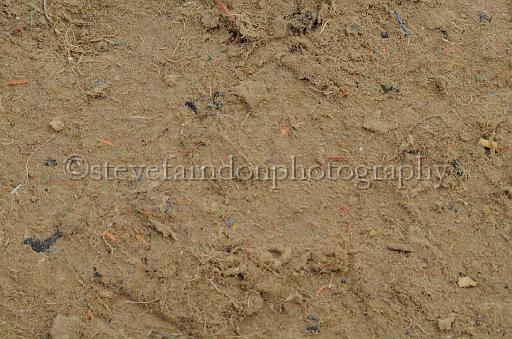 NRS_0901.JPG - (C)S.FARNDON