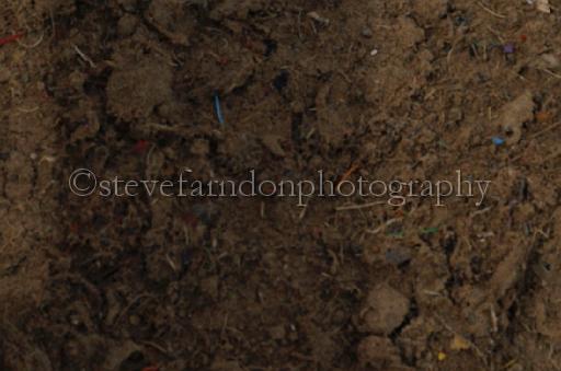 NRS_0905.JPG - (C)S.FARNDON