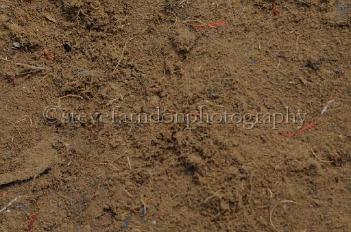 NRS_0962.JPG - (C)S.FARNDON