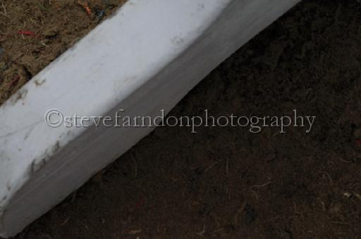 NRS_0989.JPG - (C)S.FARNDON