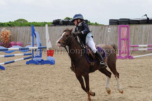 NRS_1009.JPG - (C)S.FARNDON