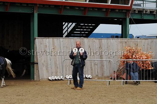 NRS_1060.JPG - (C)S.FARNDON