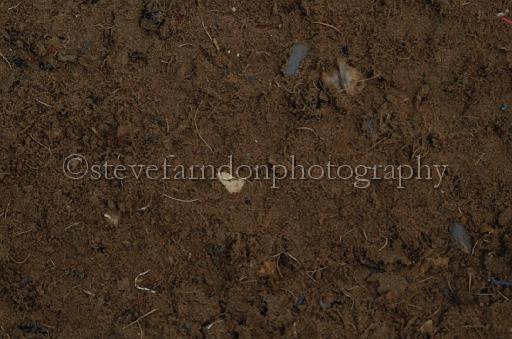 NRS_1084.JPG - (C)S.FARNDON