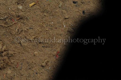 NRS_1122.JPG - (C)S.FARNDON