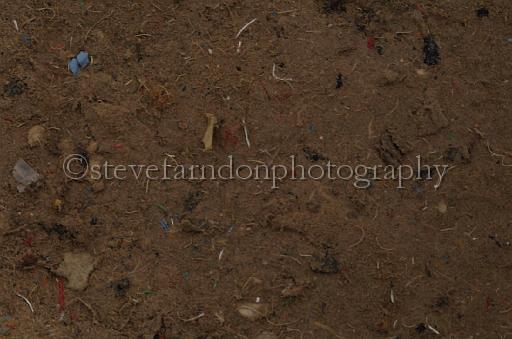 NRS_1150.JPG - (C)S.FARNDON