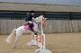 NRS_0773