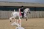 NRS_0774