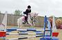 NRS_0782