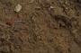 NRS_0789