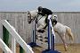 NRS_0794