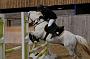 NRS_0796