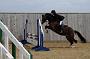 NRS_0808