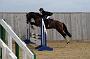 NRS_0809