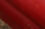 NRS_0818