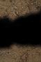 NRS_0874