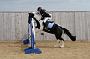 NRS_0909