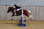 NRS_0928