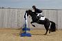 NRS_0947