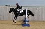 NRS_0949