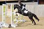 NRS_0954