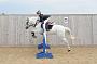 NRS_0974