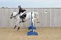 NRS_0975
