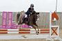 NRS_0993