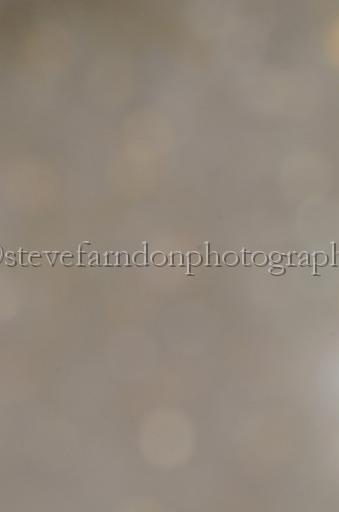 NRS_1191.JPG - (C)S.FARNDON