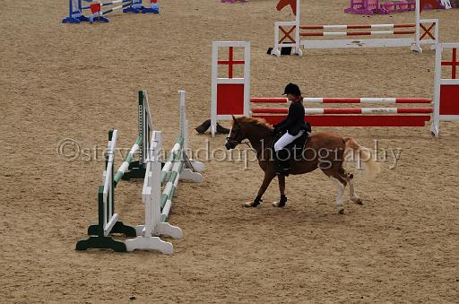 NRS_1199.JPG - (C)S.FARNDON