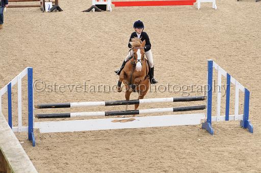 NRS_1213.JPG - (C)S.FARNDON