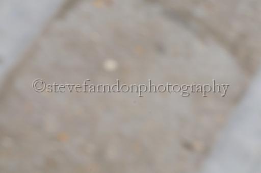NRS_1270.JPG - (C)S.FARNDON
