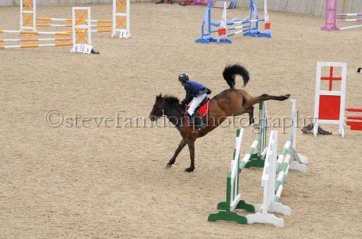 NRS_1301.JPG - (C)S.FARNDON