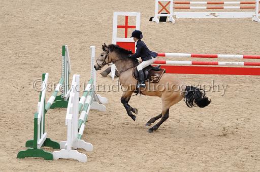 NRS_1318.JPG - (C)S.FARNDON