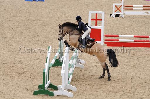 NRS_1319.JPG - (C)S.FARNDON