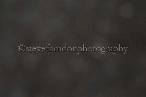 NRS_1326.JPG - (C)S.FARNDON