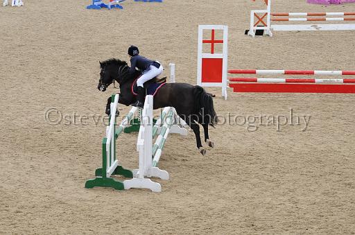 NRS_1351.JPG - (C)S.FARNDON