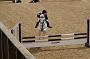 NRS_1242