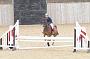 NRS_1291