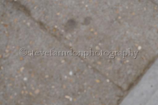 NRS_1375.JPG - (C)S.FARNDON