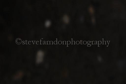 NRS_1380.JPG - (C)S.FARNDON