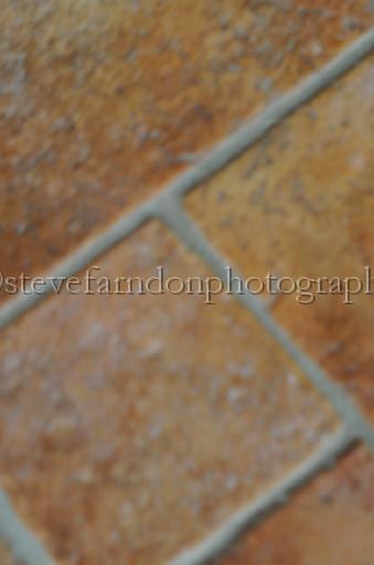 NRS_1397.JPG - (C)S.FARNDON