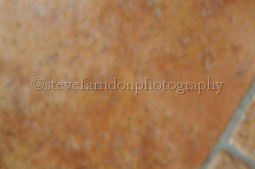 NRS_1417.JPG - (C)S.FARNDON